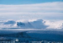 Global Leaders Gather to Address Climate Change