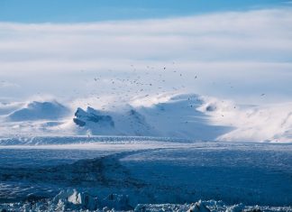 Global Leaders Gather to Address Climate Change