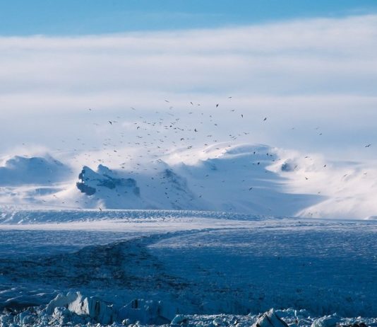Global Leaders Gather to Address Climate Change