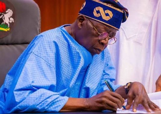 Tinubu Nominates Fani-Kayode, Omokri, and 30 Others as Ambassadors