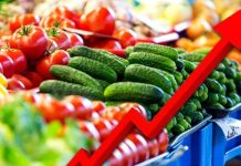 Farmers avoid Wet season Farming, Contributing to food inflation -FG