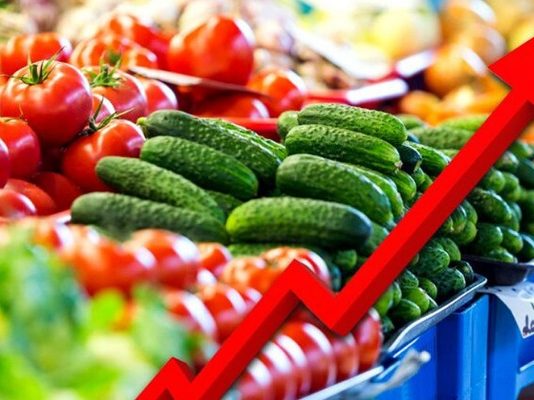 Farmers avoid Wet season Farming, Contributing to food inflation -FG