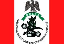 2.05 tons of hard drugs, arrests 223 suspects in C’River Seized by NDLEA