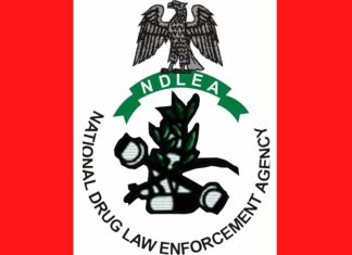 2.05 tons of hard drugs, arrests 223 suspects in C’River Seized by NDLEA