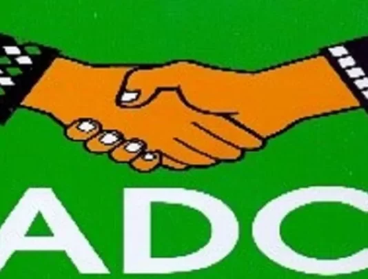 Aisha Yesufu, Others Appointed to ADC Membership Registration Committee