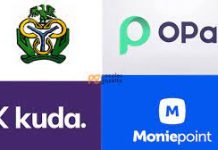 CBN Stops Opay, Moniepoint, Others From Onboarding New Customers