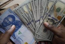 Naira tumbles at official market, trades N1,234/1$