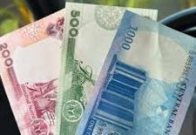 Naira undervalued by 30% – Renaissance Capital