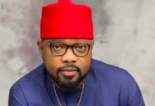 Rivers crisis: Damagum, Wike working against PDP, Ugochinyere alleges