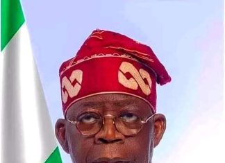 Presidency Insists Subsidy Gone, Says Leaked Documents Unofficial