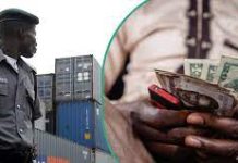 Tax Reform Panel Recommends N800/$ Rate For Customs Duties