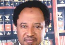 Northern Politicians’ Visit To Buhari Plot To Unseat Tinubu – Shehu Sani
