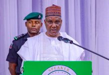 Borno flood: Reps reject proposal for N300bn grant to victims