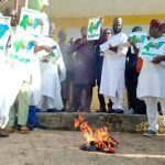APC Woman Leader and 100 Supporters Defect to NNPP in Kano NNPP members burn red caps