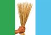 APC logo