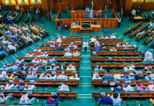 Reps Probe Nigerian Miners’ Abuse Claim in CAR