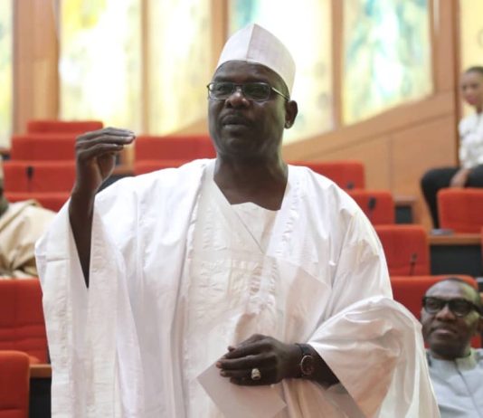 Ndume Urges Tinubu to Withdraw Ambassadorial List