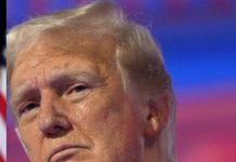 Trump, Harris make final campaign rounds, millions vote early