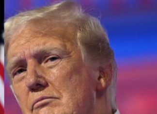 Tinubu congratulates Trump, looks forward to working with him
