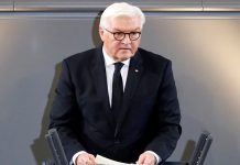 Tinubu hosts German President, Steinmeier, at Aso Rock villa