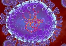 Health officials call for improved hygiene practices in Nigeria due to rising HMPV outbreak fears