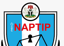 NAPTIP Rescues Nine Pregnant Girls in Abuja Baby Factory Raid