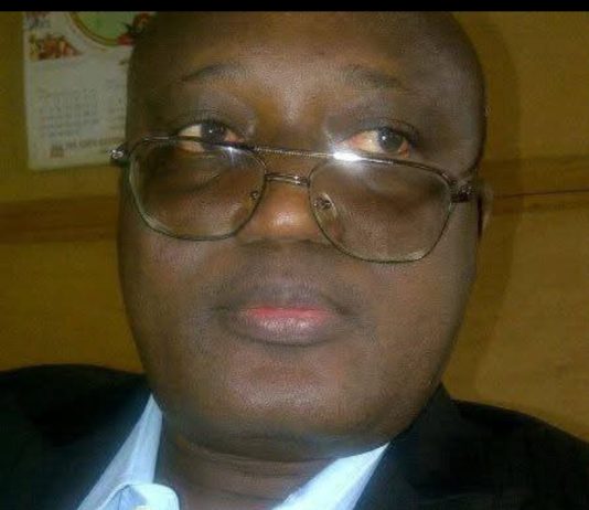 Rejoinder to Aliyu Tilde’s Distorted Narrative on Violence in Nigeria Shu'aibu Usman Leman