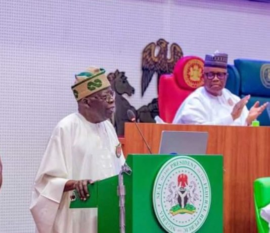 Budget Passage in Nigeria: From Rigorous Legislative Scrutiny to Ceremonial Compliance? Tinubu in NASS