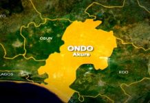 Ondo Amotekun Arrests 39 Suspects Fleeing Sokoto After US-Backed Strike