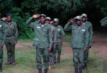 FG graduates over 7,000 forest guards, orders immediate deployment