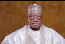 Breaking News | An Iroko Falls in Kogi East Yakubu Mohammed