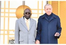 Presidency Downplays Tinubu’s Stumble, States Türkiye Visit on Course