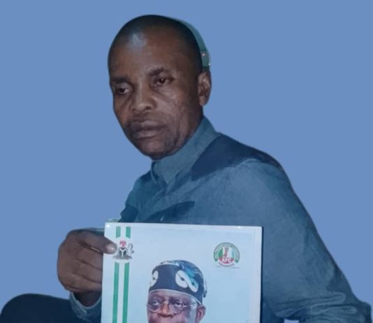 I Campaigned for Tinubu, I Lost My Job