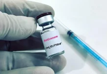 Nigeria Records 43,000 Snakebites Yearly Amid Antivenom Shortages