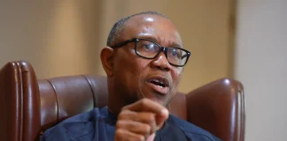 Electoral Act Amendment: Obi Joins Youths in Protest At The National Assembly.