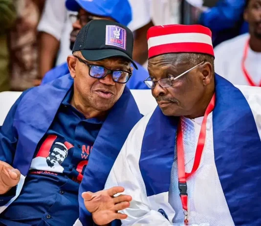 2027 Election: Kwankwaso Will Play a Key Role, Not a Backup Role — Obi